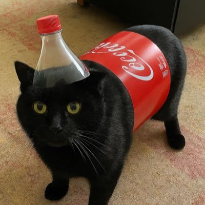 Sm1lezed's profile picture. 破防了