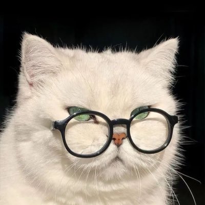 MurtazaSog79575's profile picture. 