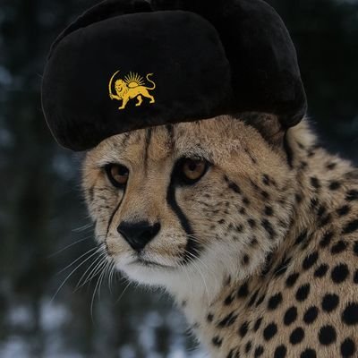 بیولوژیست،
کارگر ساختمانی،
ذاتاً پادشاهیخواه
و خواستار دادخواهی