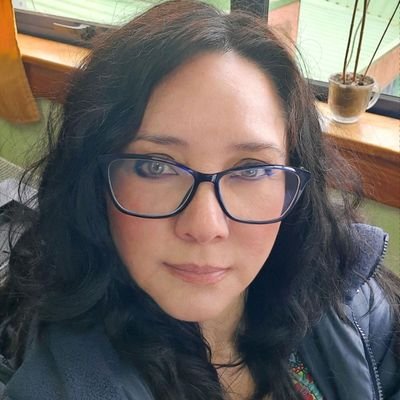 Técnico Superior en Programación de Computadores, Asistente de la Educación, Digitadora en Proyecto Elecciones y MAMÁ
