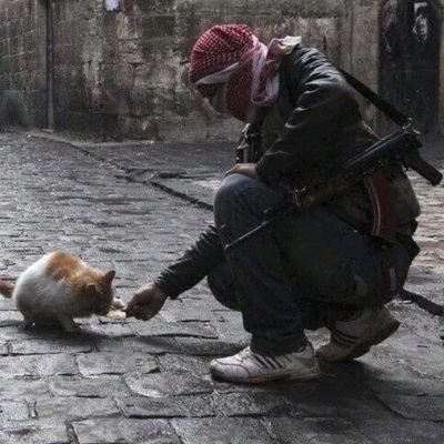 fadakarr's profile picture. خون