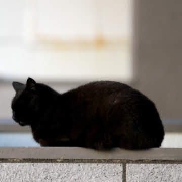 閲覧ありがとうございます。新潟市に住む46歳おっさんの釣りアカです。
ショアジギング、アジング、エギング、エリアトラウト、サーフジギング等自由気ままに楽しんでいます。
たまにキャンプ飯とギターの話もw
お気軽にフォローして下さい😊
喜んでフォロバいたします🙇♂️
よろしくお願いいたします