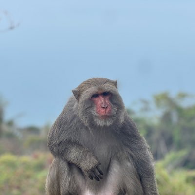 AMIsKaKo1's profile picture. 