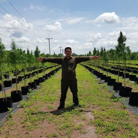 Mpkrit462's profile picture. อยากรู้ต้องมาถาม....แล้วจะบอก