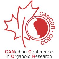 CANCOR (@cancor_ccro) 's Twitter Profile Photo