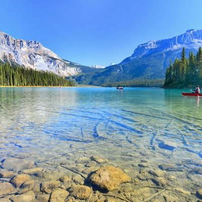 Transplant_ID's profile picture. Associate Professor of Medicine, Transplant-Oncology Infectious Diseases, University Health Network,University of Toronto٫ICES,#IDMedEd, #IDtwitter, #TxID