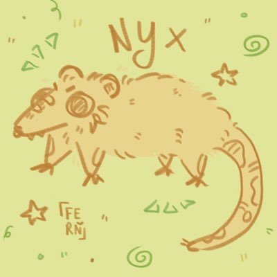 nyx_trashpup's profile picture. Open DMs 21 nb gay possumn bluesky: @thestinkypossum.bsky.social