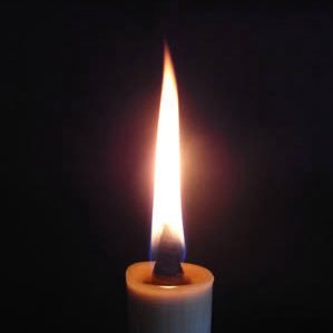 poipoinokuni's profile picture. 