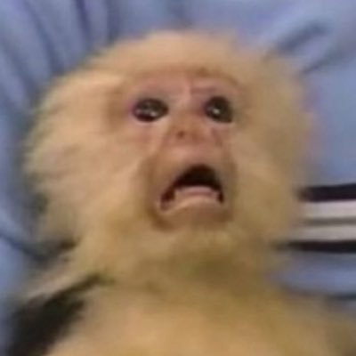 Clssicz's profile picture. 