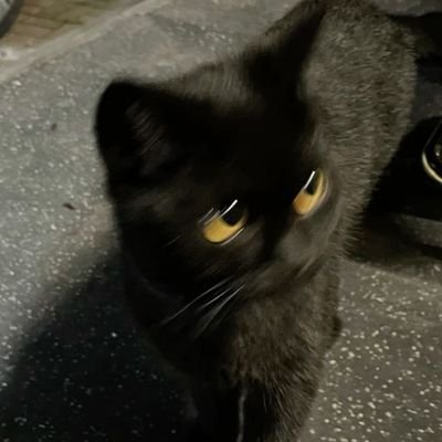 erhatplojd's profile picture. Es regt und reckt sich überall.