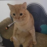 Y qué más me da si no hay na' que perder
https://t.co/r3TcPkzuBl