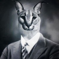Seaborgio (@106_273) 's Twitter Profile Photo Seaborgio (@106_273) 's Twitter Profile Photo
