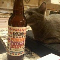 Brett Steenbargerr (@stenbabb) 's Twitter Profile