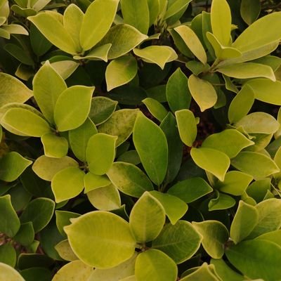 ArmelDepie93431's profile picture. 
