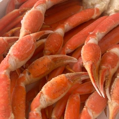 RENA_1327's profile picture. 職業:ツイ消し