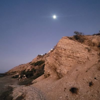 carlos529709's profile picture. 