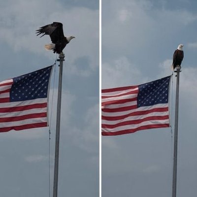 Former US Navy man. MAGA all the way. Love my country. Hate all Libs and Demonrats.
