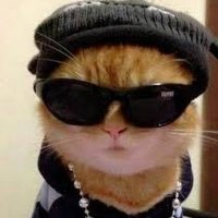 Fiji (@fijigambles) 's Twitter Profile