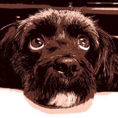 万博 (通期パス所持・週1来場). アート. インテリア. 犬. 競馬. 車.
身体障害者3級の母を万博に連れて行く方法を模索中.
15年使った前アカウントを作り直し