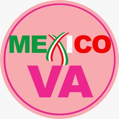 En México Va Nuestra misión es la Defensa de la Democracia en México a través de la Resistencia Civil No Violenta. Somos un grupo laico e incluyente. 🇲🇽