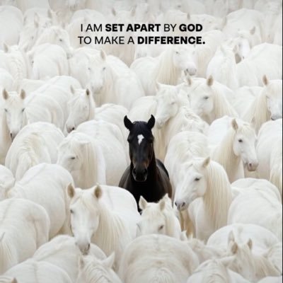 samike01's profile picture. footballer