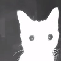 Lain💿 (@apathvoid) 's Twitter Profile