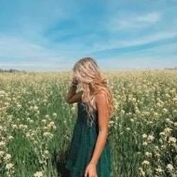 Kleeaupij14335's profile picture.