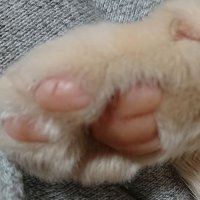 wing (@polv33vlxvtfmaf) 's Twitter Profile Photo