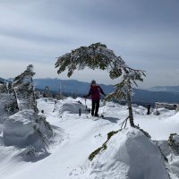 だだちゃ豆 (@yokonyc0178) 's Twitter Profile
