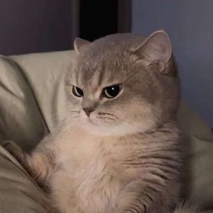itshale17's profile picture.