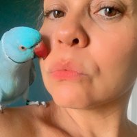Fabíola Lobato (@fs_lobato) 's Twitter Profile