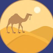 chi_kr's profile picture. お得情報に目がない旅好き主婦。どこにも行けないコロナ禍はSwitchで霧の森探検 (2021.3.21)。2023.3より海外旅行復活✈︎DELTA GM 🇰🇷🇹🇼🇨🇳🇻🇳🇲🇾🇸🇬🇹🇭🇰🇭🇺🇿🇨🇦🇺🇸🇪🇸