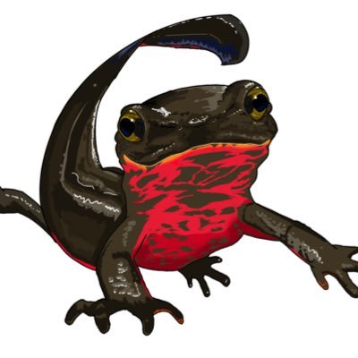 DeepBlueHearts's profile picture. 有尾目とカメが好きです。最近はヘビも