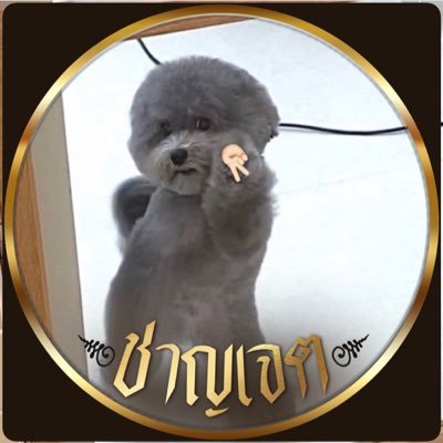 primmie._p ft.ผมชอบน้อง น้องก็ชอบผม Profile