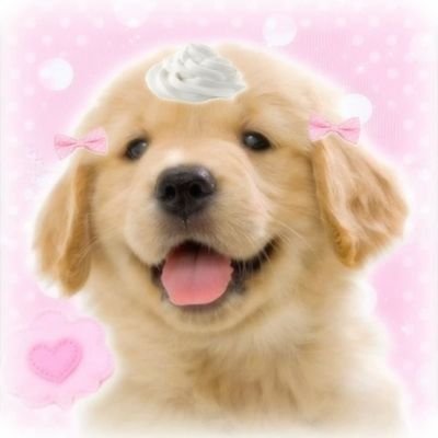 Leo | They/He/Pup 🏳️⚧️ | ╶⃝⃤🐾 | 23yo | MDNI | Multishipper & Multifandom | Check 📌 for my fics! | Stalker!Kayn CEO | Sometimes 🪦🕊 | 💍 @kaynopapo