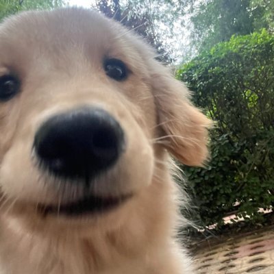 michaelalbrigh4's profile picture. 人々はあまりにも多くの壁を作りすぎて、十分な橋を作っていません。🏗️🌉😊