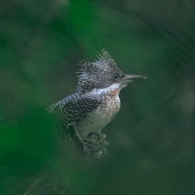 z53QPOa2cAE1ZON's profile picture. すらいむ