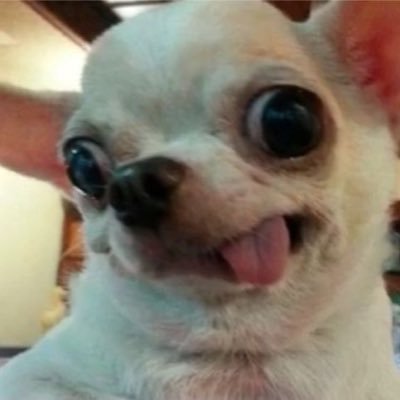 kelincixuby's profile picture. ga suka laki sukanya bakmi