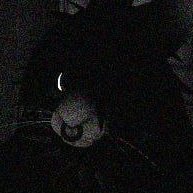 SanityBurglar's profile picture. 33 ◦ Non-binary/Demiboy ◦ Furry ◦ Gay/Asexual ◦ ISTJ

I love intense and experimental music, games, and horror. Neos/Resonite native, I also play VRC.