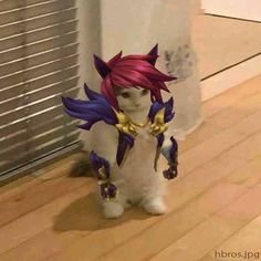 joaquinisimoさんのプロフィール画像