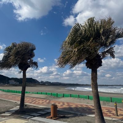 AMGSLF's profile picture. 