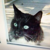 Mike Schmitz (@schmitz_mi2237) 's Twitter Profile