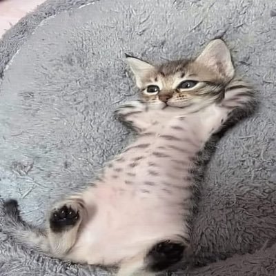 ppsh9o's profile picture. cappuccino