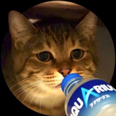 ジミーちゃんねるのコメント欄に現れます apexやってます!APEXの配信したいのでyoutubeのチャンネル登録お願いします🙏 Twitchでも配信してます!→ https://t.co/uvwPq70Mdg
