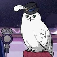 Owlbert Charts | (@matheusowlchart) 's Twitter Profile