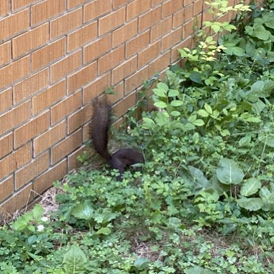 mhin2024's profile picture. 北海道大学大学院文学研究院講師。 社会学（都市、地域、教育、労働）。