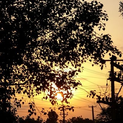 mohi_1207's profile picture. Nothing much