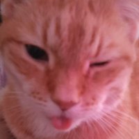 Skillyn (@sk1llyn) 's Twitter Profile