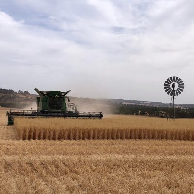 DanielSchi54685's profile picture. Crop and Sheep farmer Beverley
