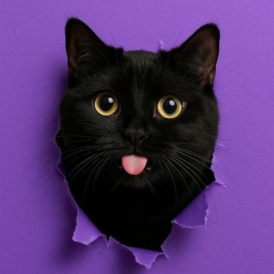 Mr_Bluee69's profile picture. All thing's  ( #TON ) ( #MITTENS )
Admin Telegram's Cat ( #mittens ) { @mittenstonchain }